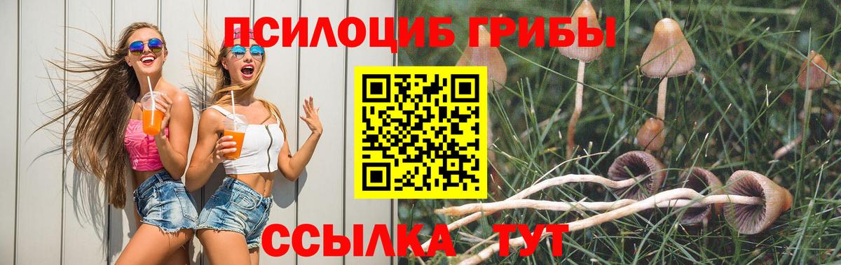 Видное  Галлюциногенные грибы MAGIC MUSHROOMS  Вход с VPN  Псилоцибиновые грибы Magic Shrooms 